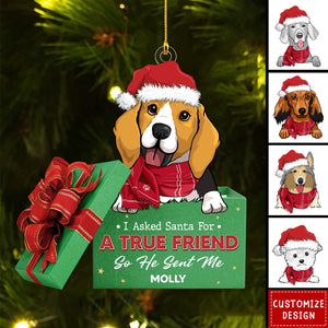 A True Friend - Personalized Acrylic Ornament - 2024 New Release