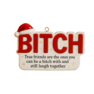 Funny Friendship Christmas Ornament