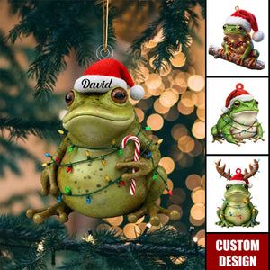 Personalized Frog Christmas 2D Ornament, Gifts For Frog Lovers