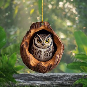 2025 New Release-Owl Christmas Ornament-Gift for Owl Lover