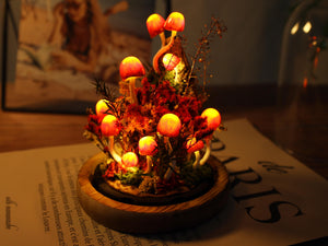 Enchanted Red Mushroom Night Light