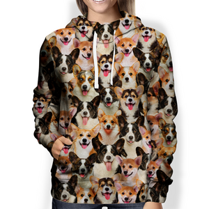 You Will Have A Bunch Of Welsh Corgies - Hoodie V1