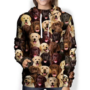 You Will Have A Bunch Of Labradors - Hoodie V1