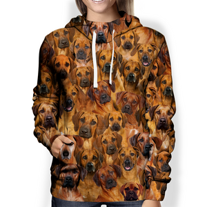 You Will Have A Bunch Of Rhodesian Ridgebacks - Hoodie V1