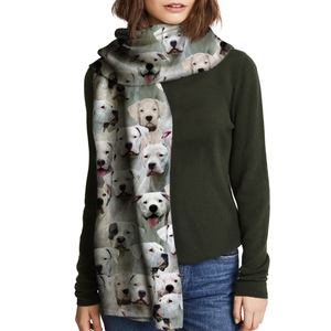 You Will Have A Bunch Of Dogo Argentinoes - Scarf V1