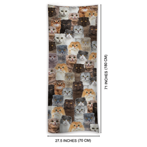 You Will Have A Bunch Of Scottish Fold Cats - Scarf V1