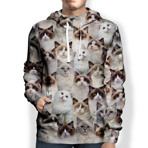 You Will Have A Bunch Of Ragdoll Cats - Hoodie V1