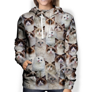 You Will Have A Bunch Of Ragdoll Cats - Hoodie V1