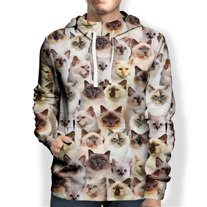 You Will Have A Bunch Of Birman Cats - Hoodie V1