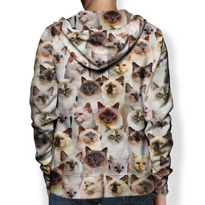 You Will Have A Bunch Of Birman Cats - Hoodie V1