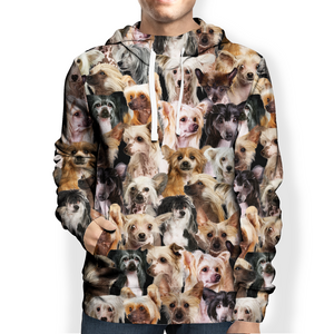 You Will Have A Bunch Of Chinese Cresteds - Hoodie V1