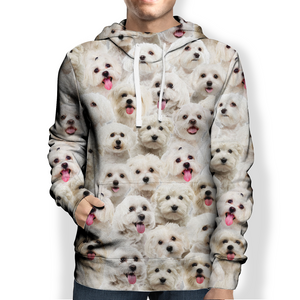 You Will Have A Bunch Of Malteses - Hoodie V1