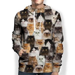 You Will Have A Bunch Of Persian Cats - Hoodie V1