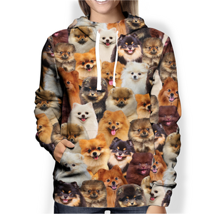 You Will Have A Bunch Of Pomeranians - Hoodie V1