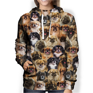 You Will Have A Bunch Of Tibetan Spaniels - Hoodie V1