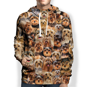 You Will Have A Bunch Of Yorkshire Terriers - Hoodie V1