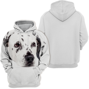Unisex 3D Graphic Hoodies Animals Dogs Dalmatian Quiet