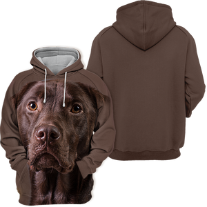 Unisex 3D Graphic Hoodies Animals Dogs Labrador Chocolate Quiet