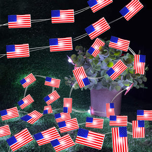 American Flag Lights String-30led/10 feet long