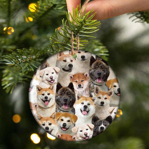 A Bunch Of Akitas Porcelain/Ceramic Ornament