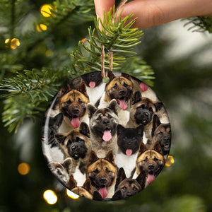 A Bunch Of American Akitas Porcelain/Ceramic Ornament