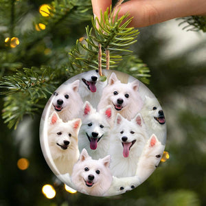 A Bunch Of Eskimo Porcelain/Ceramic Ornament
