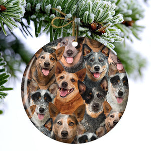 A Bunch Of Australian Cattles Porcelain/Ceramic Ornament