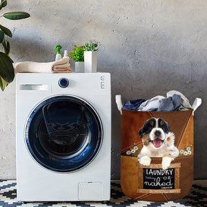 Australian Shepherd02 Laundry Today Or Naked Tomorrow Laundry Basket