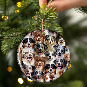 A Bunch Of Australian Shepherds Porcelain/Ceramic Ornament