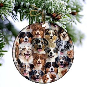 A Bunch Of Australian Shepherds Porcelain/Ceramic Ornament