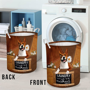 Basenji Laundry Today Or Naked Tomorrow Laundry Basket