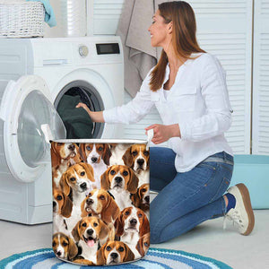 A Bunch Of Beagles Laundry Basket