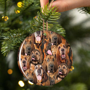 A Bunch Of Blood hounds Porcelain/Ceramic Ornament