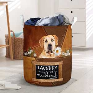 Boerboel Laundry Today Or Naked Tomorrow Laundry Basket