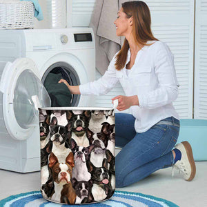 A Bunch Of Boston Terriers Laundry Basket
