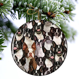 A Bunch Of Boston Terriers Porcelain/Ceramic Ornament