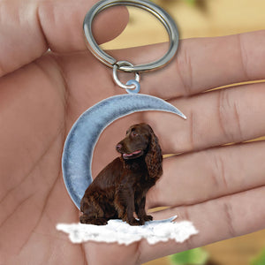 Boykin Spaniel On The Moon Flat Acrylic Keychain