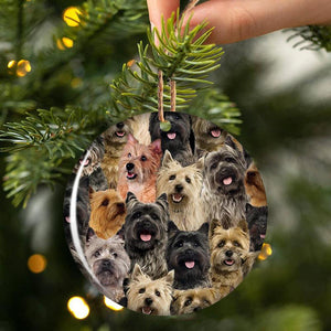 A Bunch Of Cairn Terriers Porcelain/Ceramic Ornament
