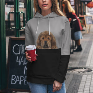 Can You See Me - Tibetan Mastiff Hoodie V1