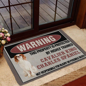 THIS PROPERTY IS PROTECTED BY HIGHLY TRAINED Cavalier King Charles Spaniel Doormat