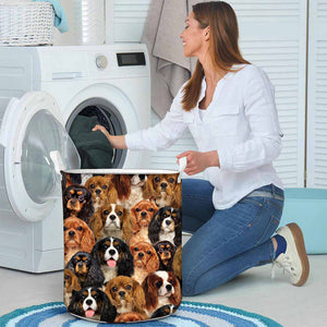 A Bunch Of Cavalier King Charles Spaniels Laundry Basket