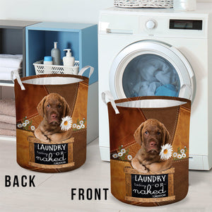 Chesapeake Bay Retriever Laundry Today Or Naked Tomorrow Laundry Basket