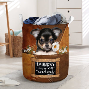 Chihuahua 3 Laundry Today Or Naked Tomorrow Laundry Basket