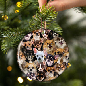 A Bunch Of Chihuahuas Porcelain/Ceramic Ornament