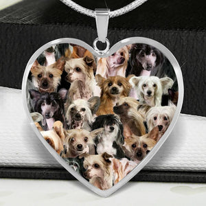 A Bunch Of Chinese Cresteds Heart Necklace