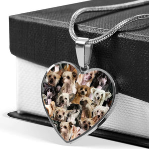 A Bunch Of Chinese Cresteds Heart Necklace