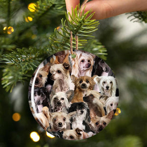 A Bunch Of Chinese Cresteds Porcelain/Ceramic Ornament