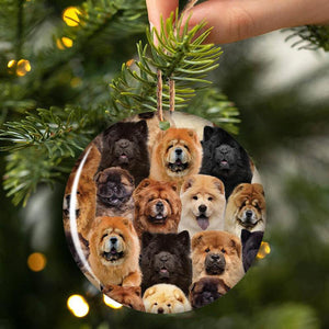 A Bunch Of Chow Chows Porcelain/Ceramic Ornament
