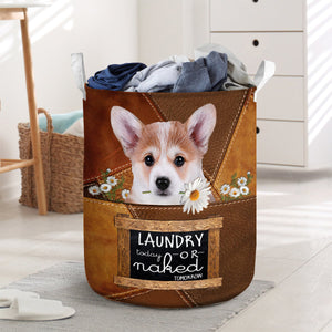 Corgi Laundry Today Or Naked Tomorrow Laundry Basket