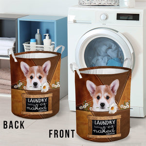 Corgi Laundry Today Or Naked Tomorrow Laundry Basket
